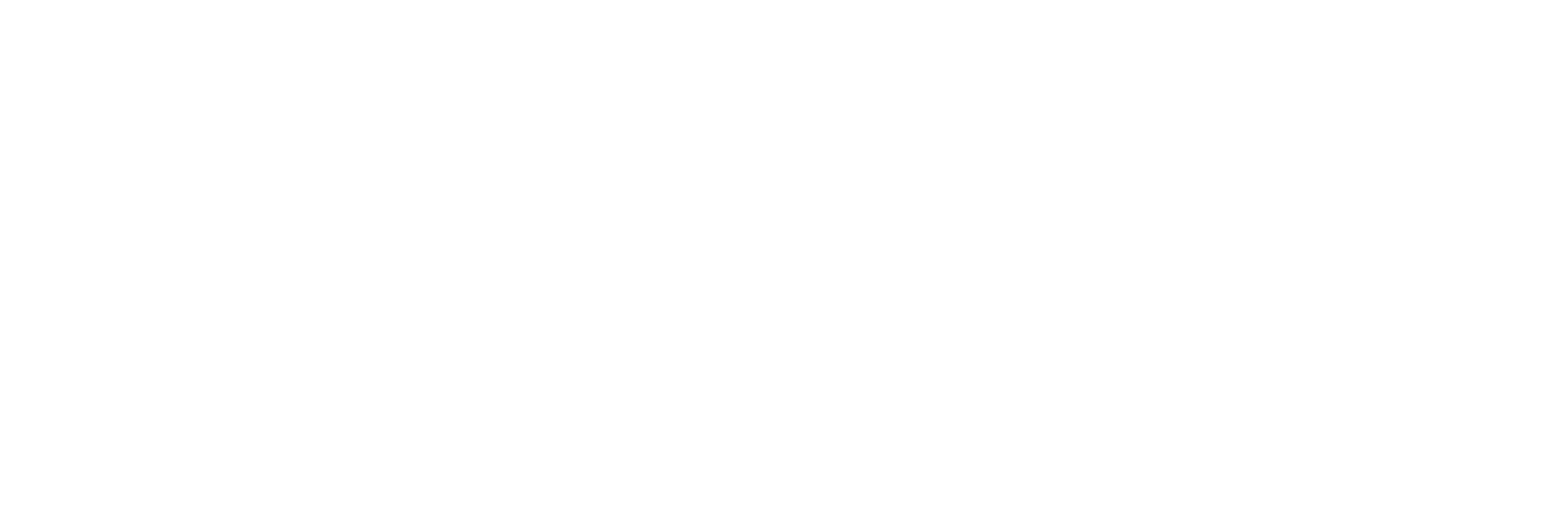 Xiao Lab Logo